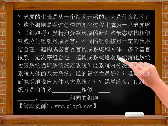 七年级动物体的结构层次PPT课件