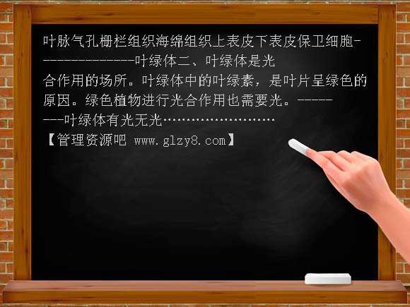 苏教版叶的结构PPT课件
