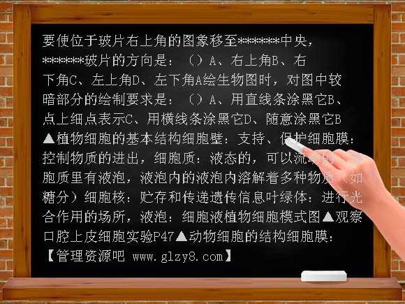 七年级生物上学期期末复习提纲（上册）