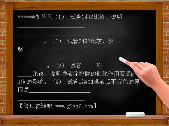 冀教版七年级下册生物消化和吸收试题