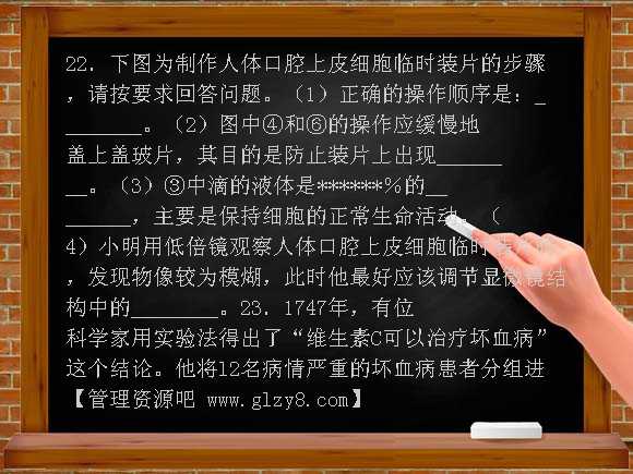 山东聊城阳谷七年级上期中学业水平检测
