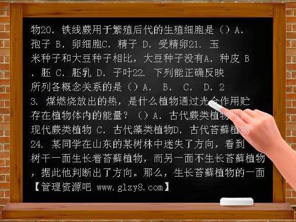 湘潭西河中学上七年级期末模拟试卷2