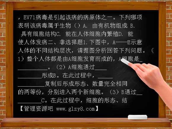 生物与细胞练习题及答案