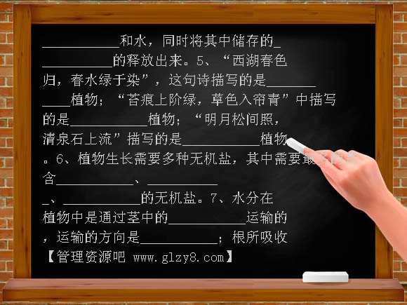 苏教版七年级生物上册期末试卷及答案