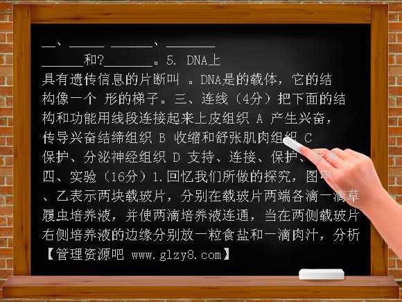 苏教版七年级生物第一学期期中试卷及答案