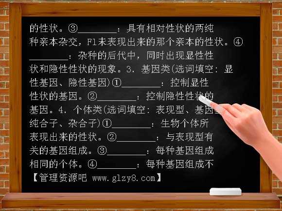遗传学基本概念练习题