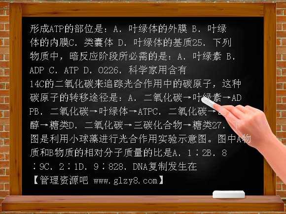 高一期末考试生物试卷