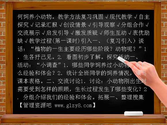 养小鸡（冀教版）四年级科学下册教案