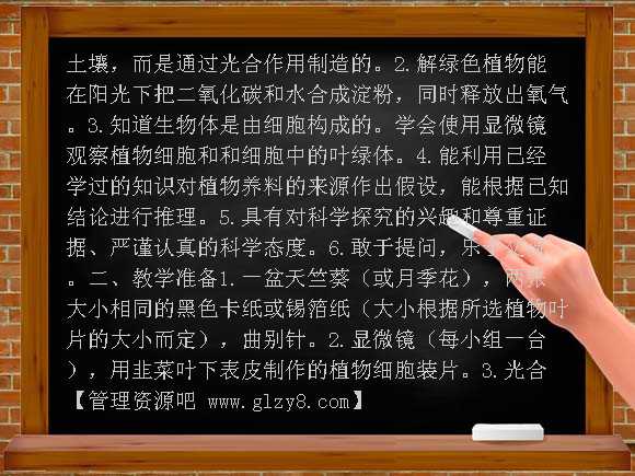 林中的树（鄂教版）五年级科学上册教案