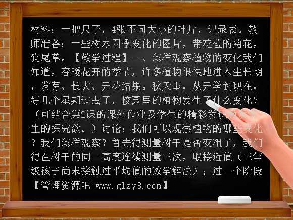 植物发生了什么变化（教科版）三年级科学上册教案