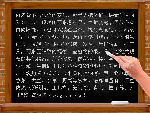 植物的根（青岛版五年制）四年级科学上册教案