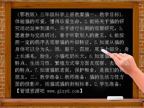 猫（鄂教版）三年级科学上册教案