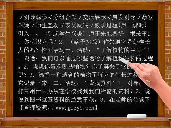 种茄子（冀教版）四年级科学下册教案