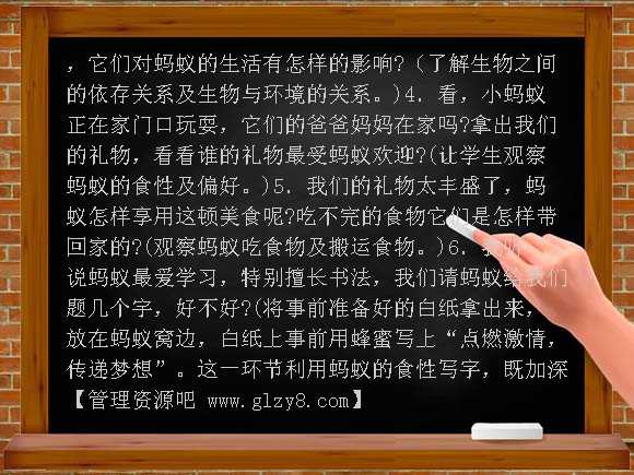 观察蚂蚁（鄂教版）四年级科学上册教案