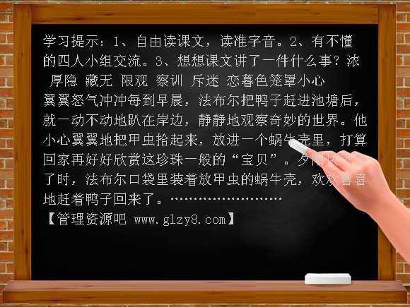北师大版三年级下册装满昆虫的口袋PPT课件