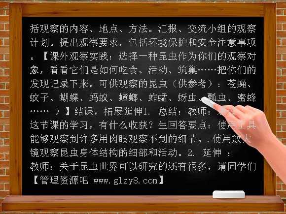 放大镜下的昆虫世界 （教科版）六年级下册第一单元教案
