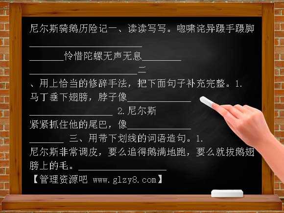 尼尔斯骑鹅历险记 同步练习（语文S版）