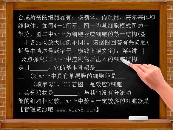 新课标2012年高考生物基础复习4细胞质的结构和功能PPT课件
