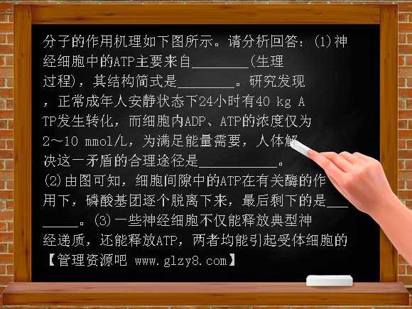 新课标2012年高三生物考前15天专项训练试题-细胞代谢