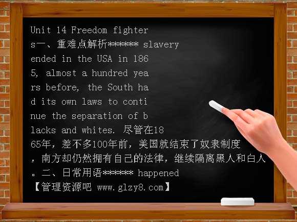 人教版备战2012年英语教材高二重难点梳理Unit14 Freedom fighters教案