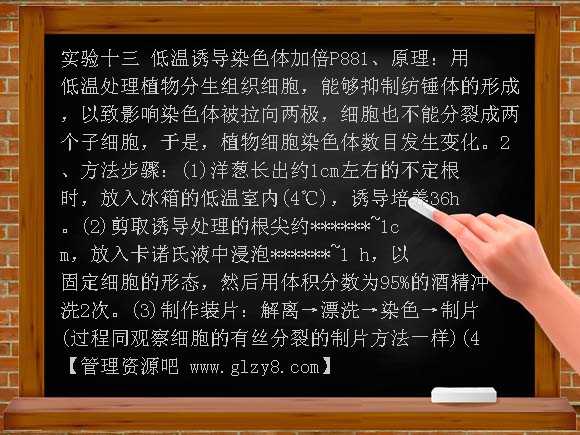 2012高考生物实验复习教案[必修2]实验十三 低温诱导染色体加倍教案