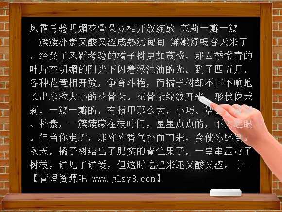 家乡的红橘 PPT（西师大版）PPT课件