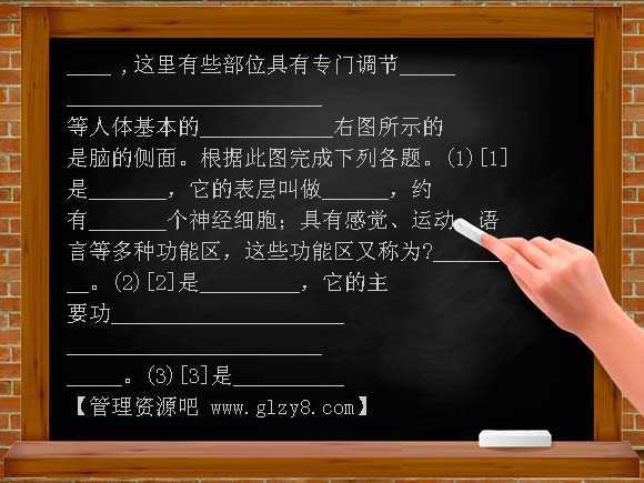 神经系统PPT（上海版）PPT课件