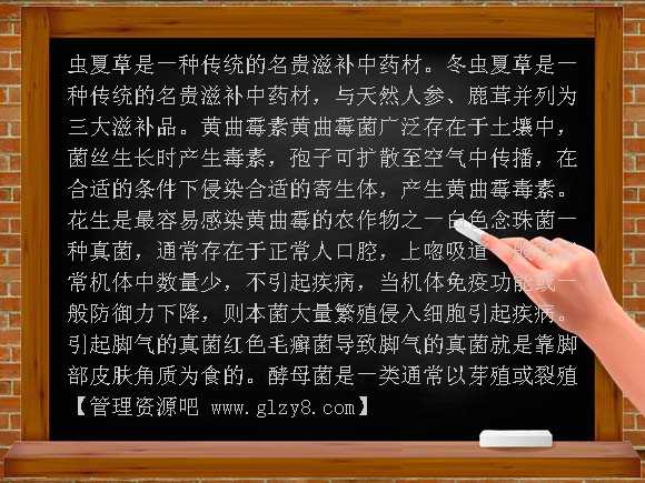 菌物界PPT（北京版）PPT课件