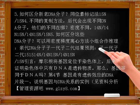 DNA复制与基因 PPT（新人教版）PPT课件