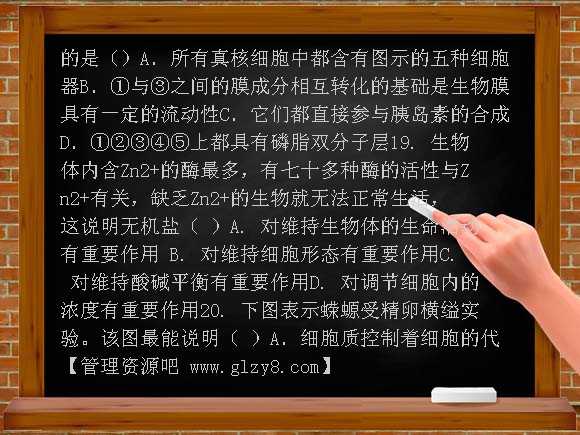2012-2013年高二上学期生物期中试题及答案