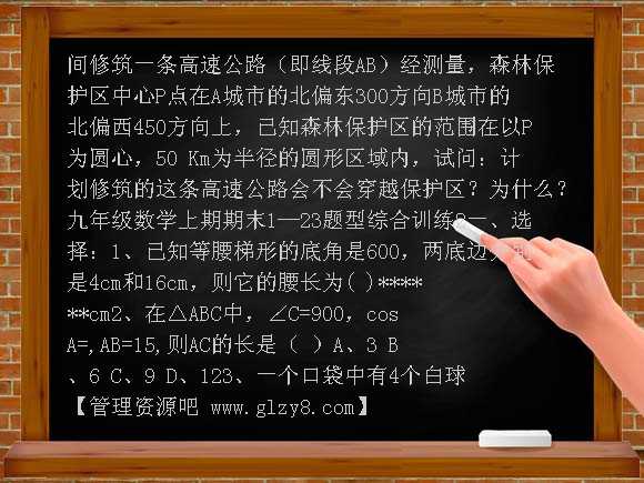 2012-2013年北师大版九年级数学综合期末复习试卷