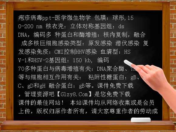 疱疹病毒PPT-医学微生物学课件