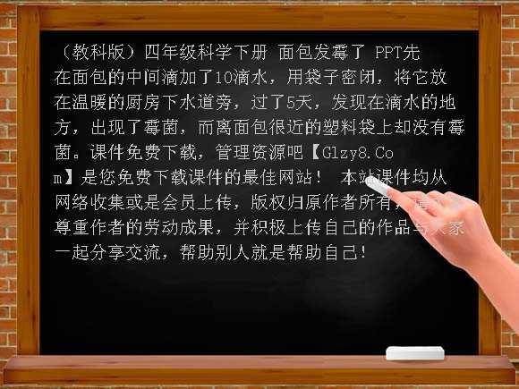 面包发霉了 PPT（教科版）四年级科学下册课件