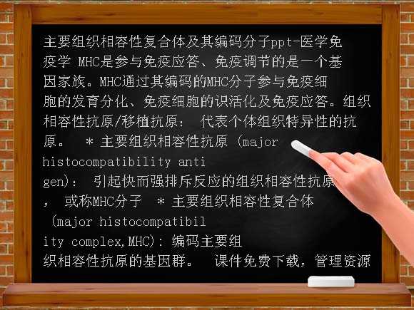 主要组织相容性复合体及其编码分子PPT-医学免疫学课件