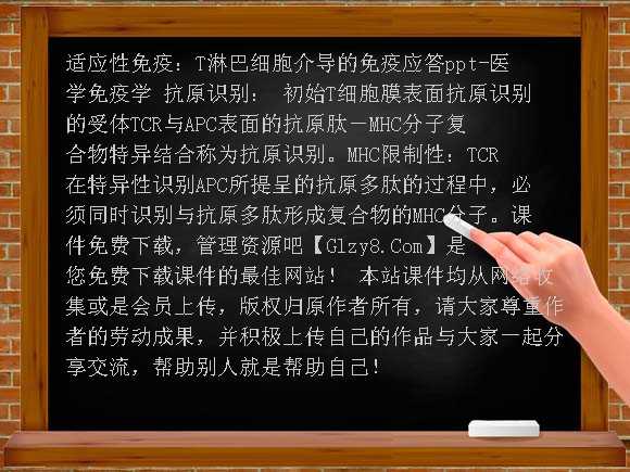 适应性免疫：T淋巴细胞介导的免疫应答PPT-医学免疫学课件