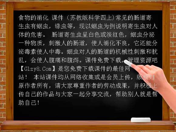 食物的消化 PPT（苏教版科学四上）课件