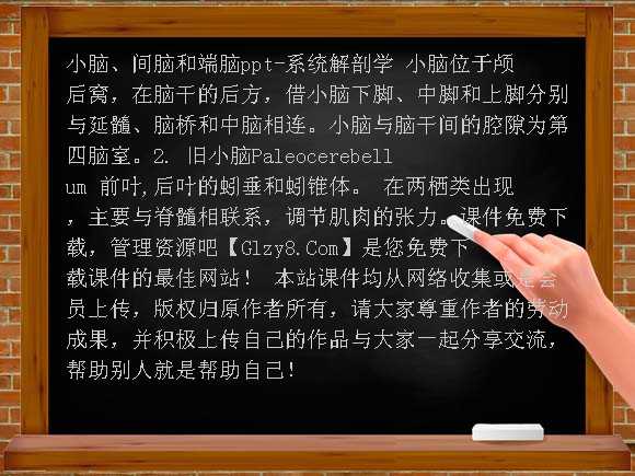 小脑、间脑和端脑PPT-系统解剖学课件