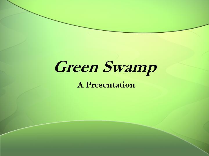 green swamp ppt模板