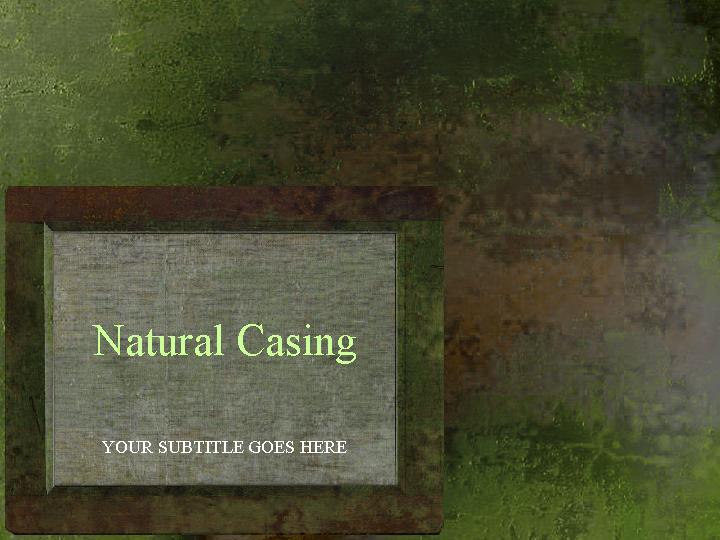 natural casing ppt模板