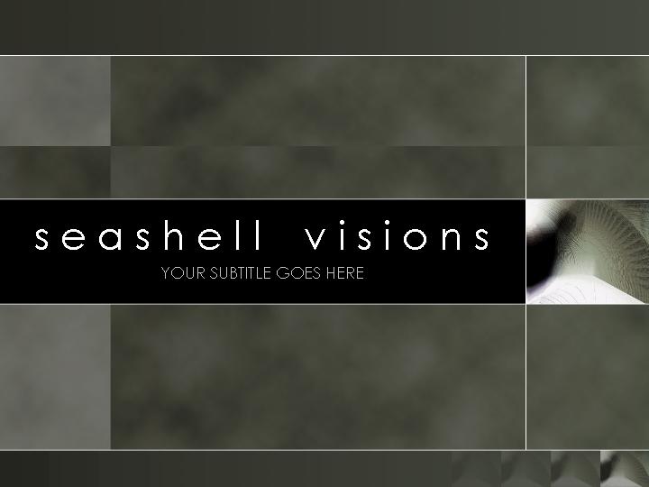 seashell visions ppt模板