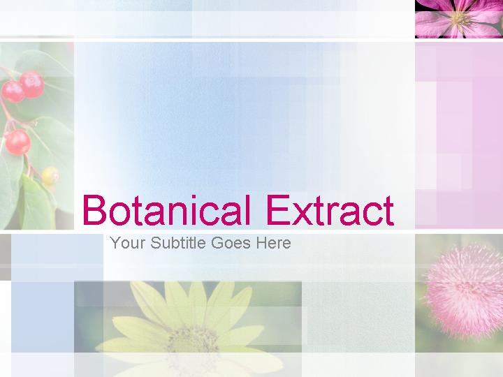 botanical extract ppt模板