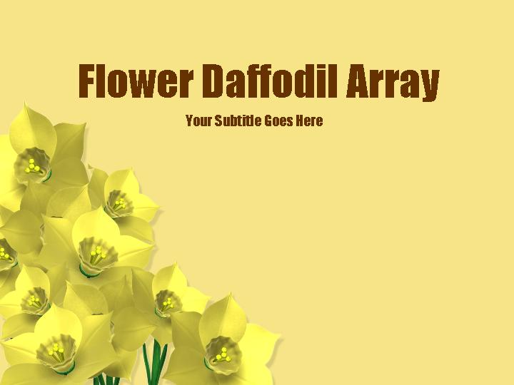 flower daffodil array ppt模板