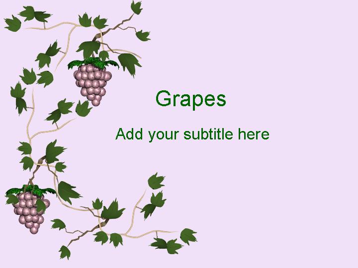 grapes ppt模板