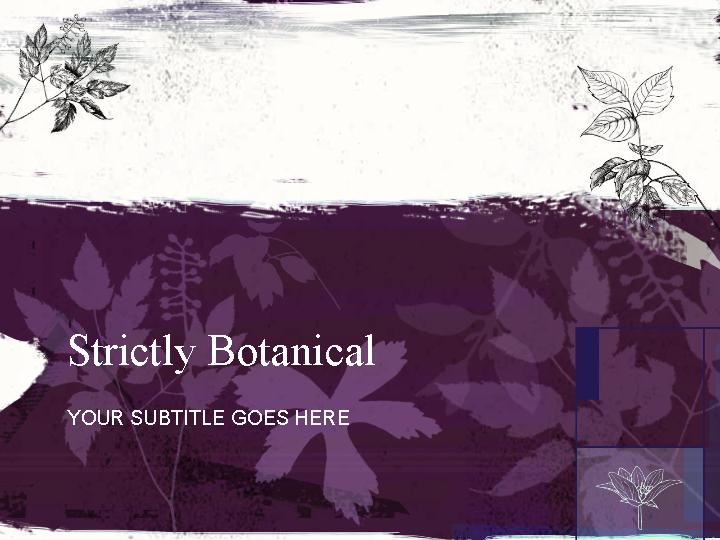 strictly botanical ppt模板