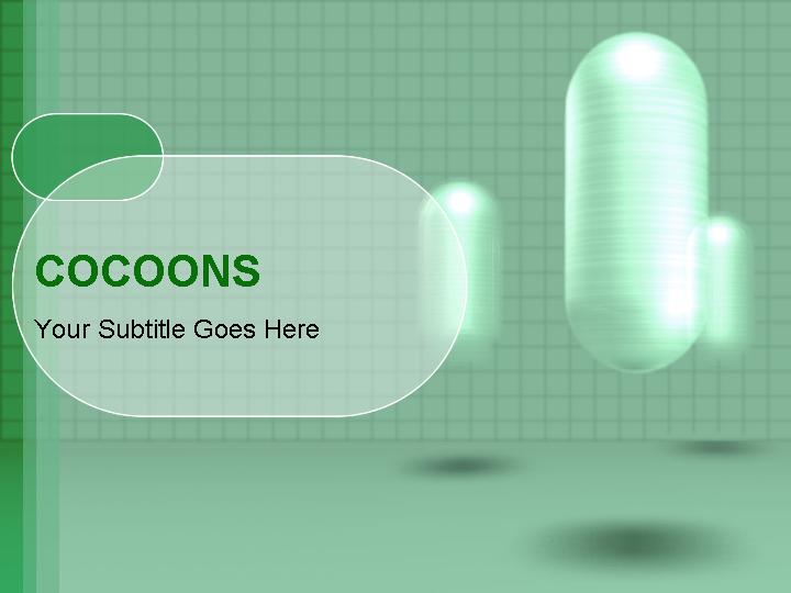 cocoons ppt模板