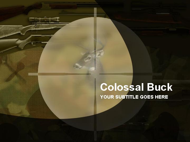 colossal buck ppt模板