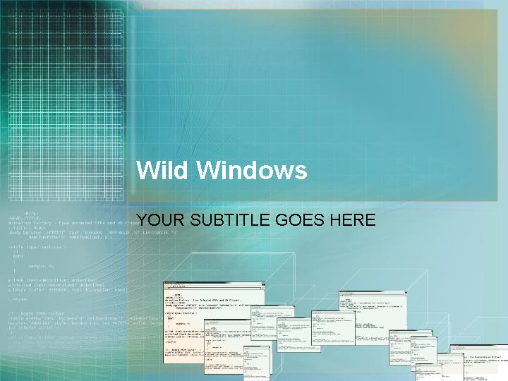 wild windows ppt模板