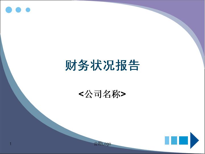 报告总结_财务报告PPT模板