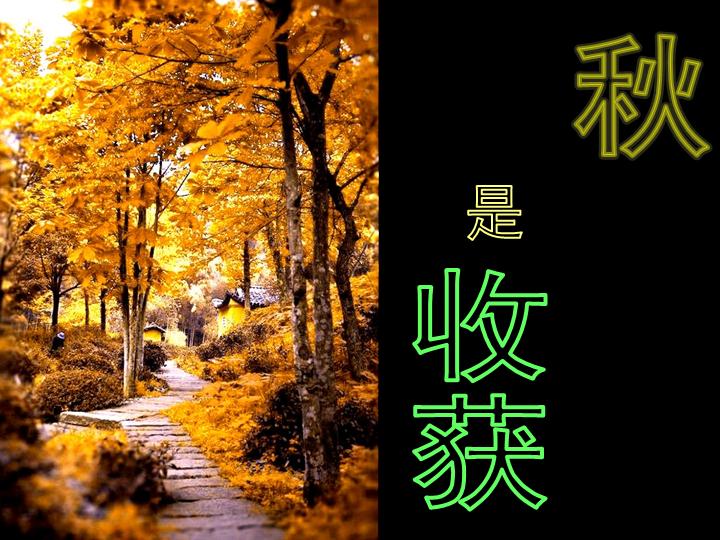 夏与秋PPT模板下载