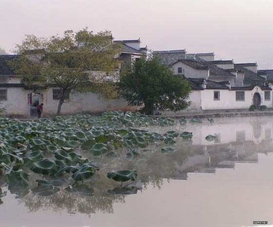 古典优雅水乡民居PPT背景图片